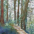 Skyline Trail